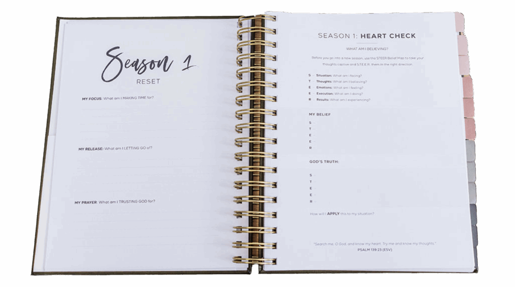 Layout 3